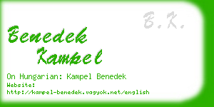 benedek kampel business card